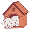 home style dog boarding Gurgaon home style dog boarding Gurgaon