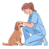 limited dogs personal care boarding Gurgaon limited dogs personal care boarding Gurgaon