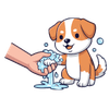 stress free dog routine grooming boarding Gurgaon stress free dog routine grooming boarding Gurgaon