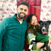 Uno’s happy dog parent — Bark N Stay testimonial Uno's happy dog parent — Bark N Stay testimonial