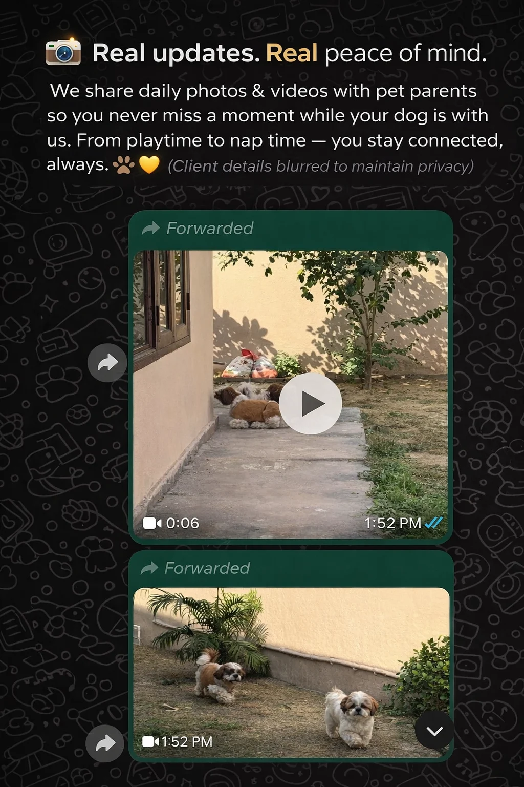 Daily dog boarding updates via WhatsApp in Gurgaon
