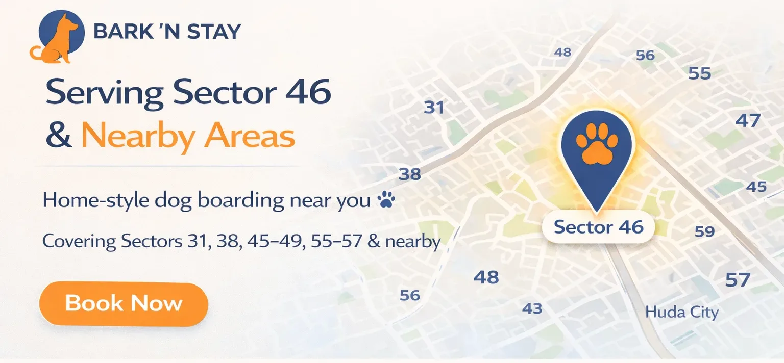 dog daycare near me Gurgaon Sector 46 Bark N Stay location map
