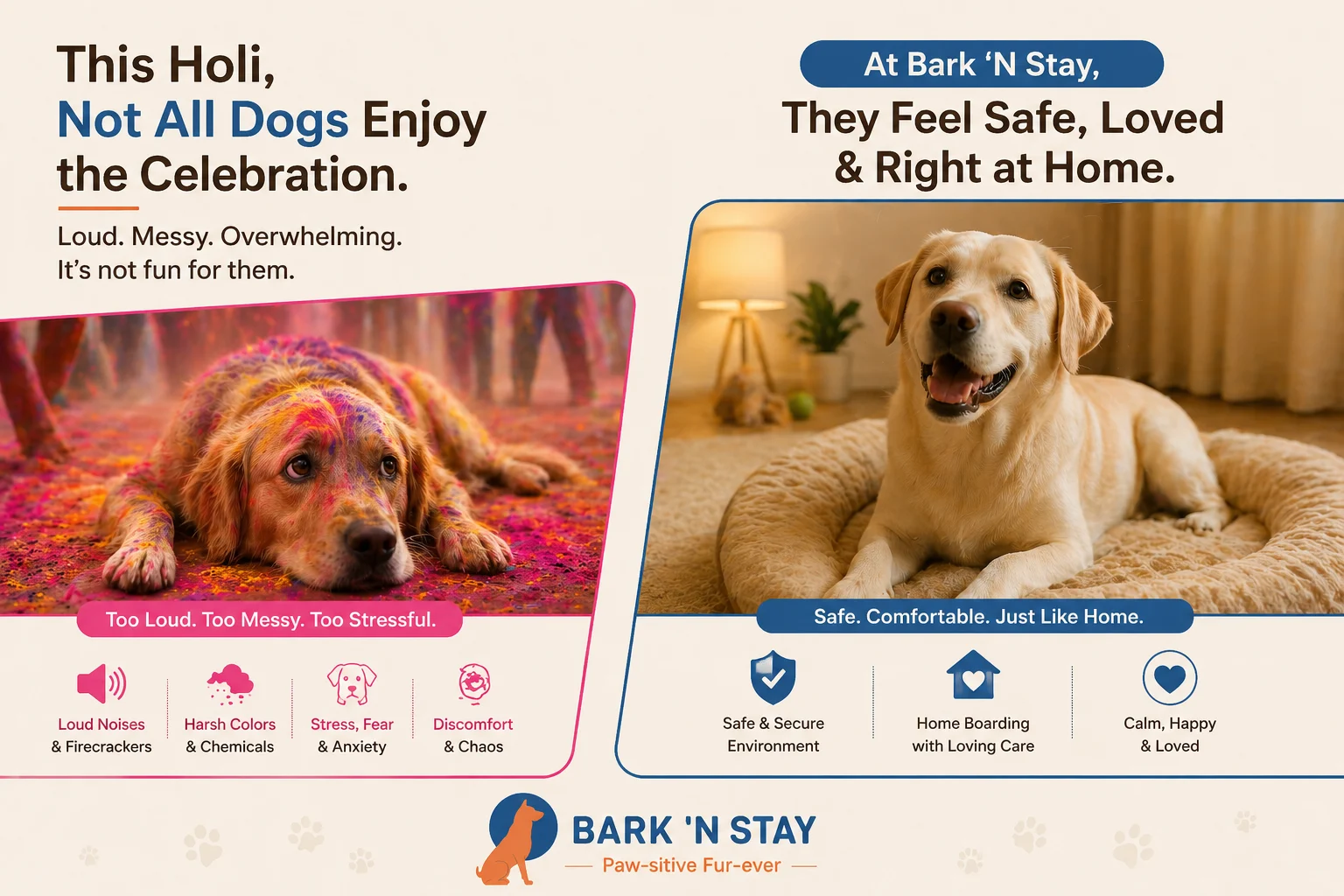 dog boarding during Holi Gurgaon safe cage-free Bark 'N Stay