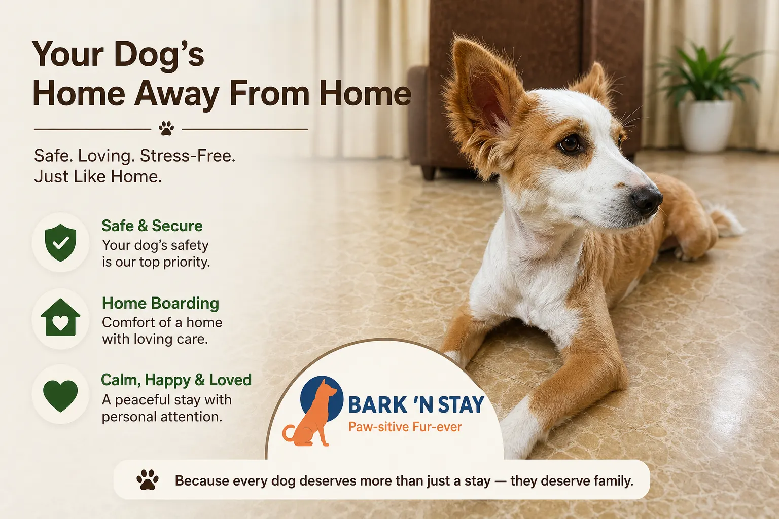 dog boarding festivals long weekends Gurgaon Bark 'N Stay