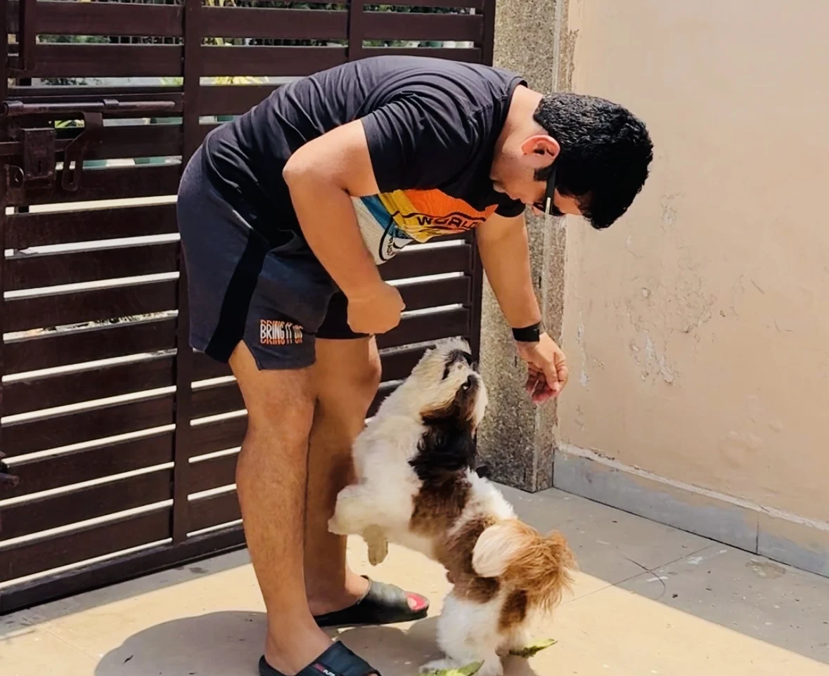 book dog boarding pickup drop Gurgaon Bark 'N Stay Sector 46
