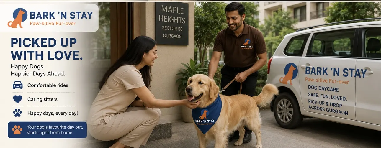 dog daycare pickup drop Gurgaon Bark 'N Stay