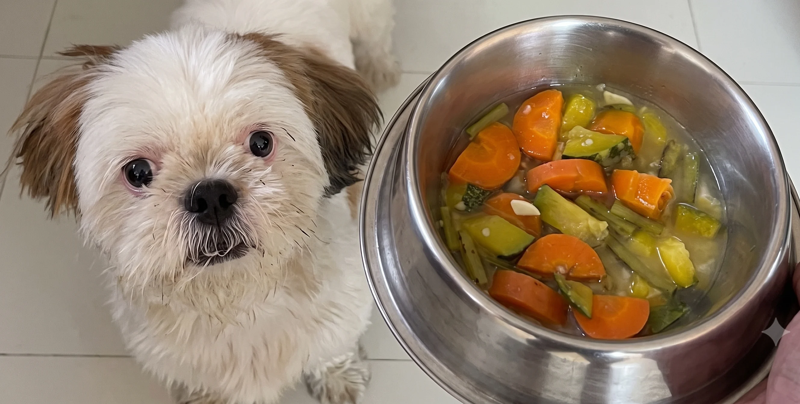 homemade dog food recipes India safe ingredients